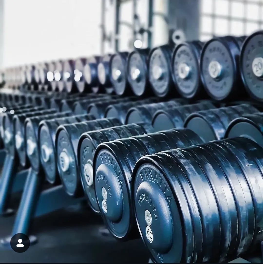 Mancuernero de Steel con mancuernas de 2 a 60 kg