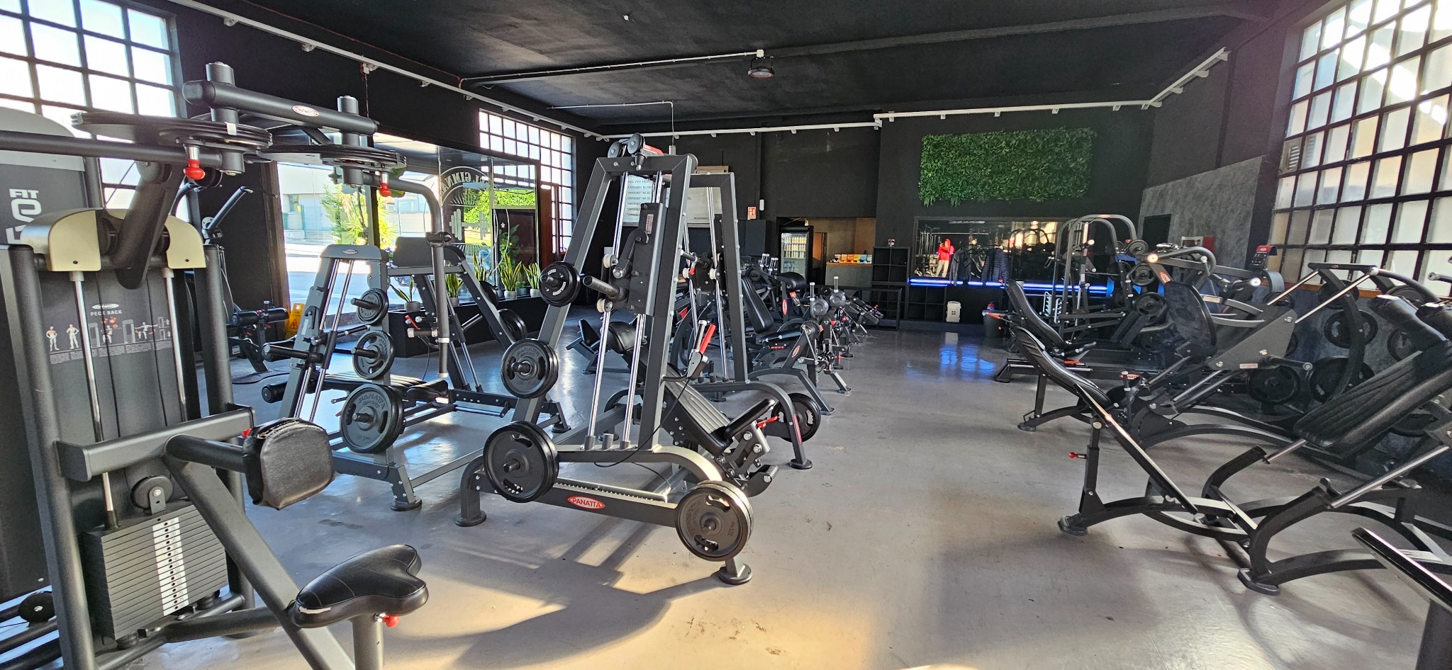 Equipamiento de fuerza de Steel distribuido en la sala